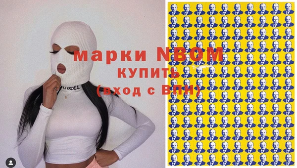 прущие крисы Няндома